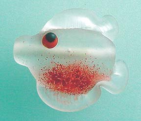 esbclearfish.JPG - 10.77 K