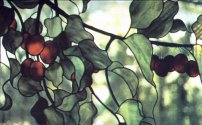 Crabapples