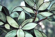 Rhododendron