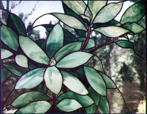 Rhododendron